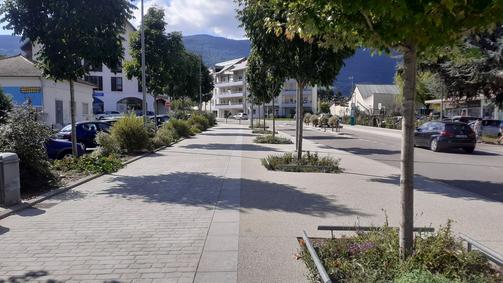 Rue des Allobroges  La Motte Servolex  EVS Entreprise du paysage